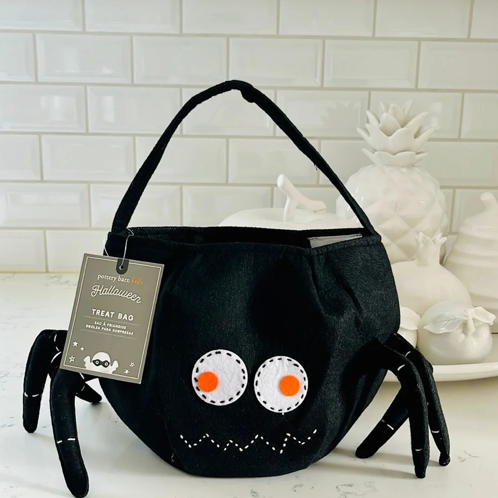 Pottery Barn Kids Spider Treat Bag